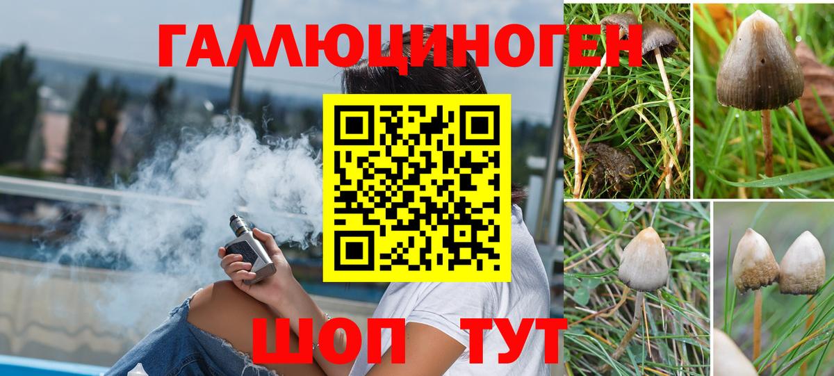 Псилоцибиновые грибы Magic Shrooms  дарнет шоп  Жигулёвск  Вход с VPN 