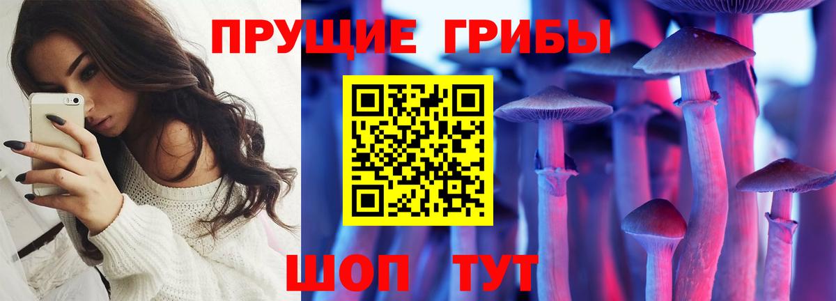 Псилоцибиновые грибы MAGIC MUSHROOMS Жигулёвск